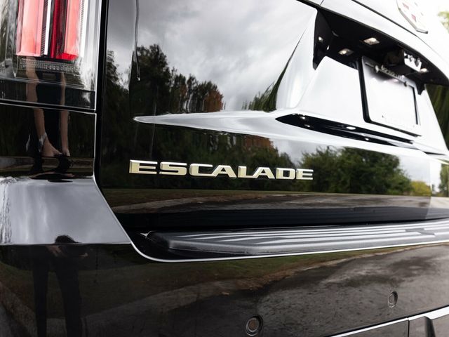 2026 Cadillac Escalade ESV ESV SPORT, TOURING PACKAGE, POWER SOFT OPEN/CLOSE DOORS - 22937964 - 65