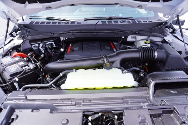 2026 Ford F-150 RAPTOR - 23025362 - 50