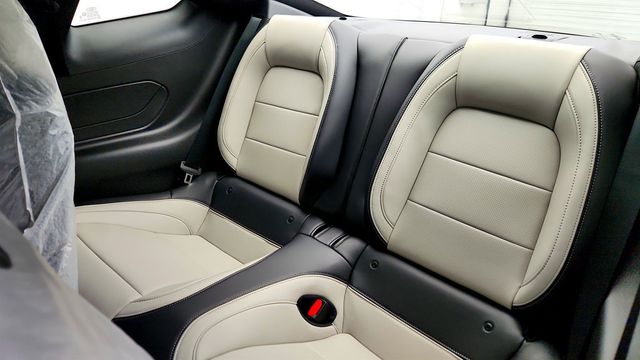 2026 Ford Mustang GT Premium Fastback w/ Active Valve Exhaust, Co-Pilot360 Assist+ - 23019275 - 19