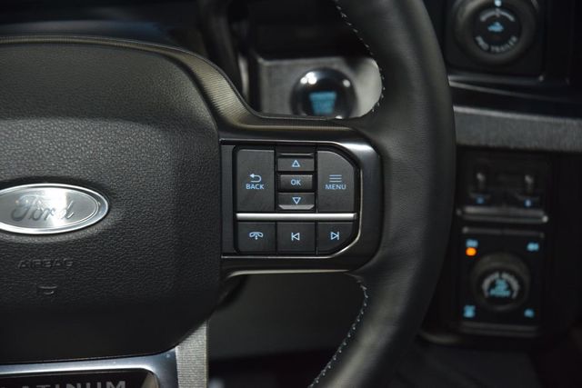 2026 Ford Super Duty F-250 SRW Platinum Tremor - 23038554 - 37