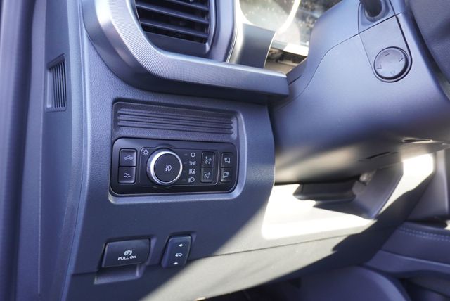 2026 Ford SUPER DUTY F-350 PLATINUM - 22972074 - 30