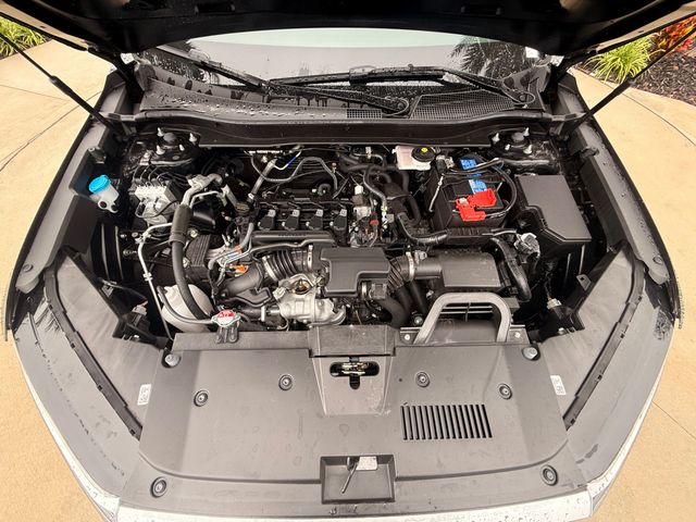 2026 Honda CR-V EX 2WD - 23102270 - 24