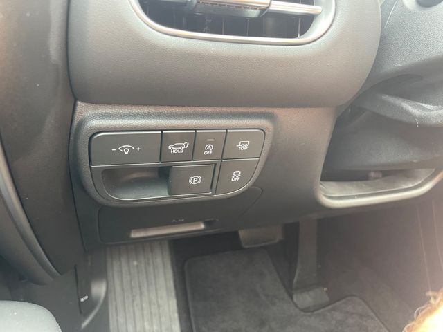 2026 HYUNDAI PALISADE LIMITED - 23083639 - 18