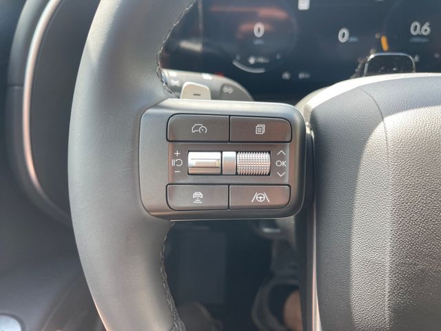 2026 HYUNDAI PALISADE LIMITED - 23083640 - 16