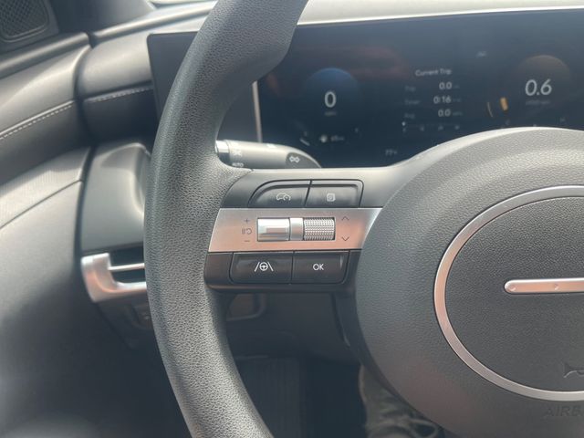 2026 HYUNDAI SANTA CRUZ SEL ACTIVITY - 23083641 - 13