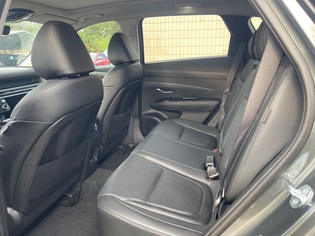 2026 HYUNDAI TUCSON HYBRID LIMITED - 23084934 - 12