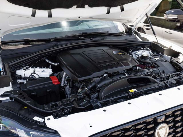 2026 Jaguar F-PACE P250 R-Dynamic S - 23078043 - 26