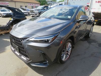 2026 Lexus NX
