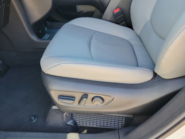 2026 Toyota Sienna XLE FWD 8-Passenger - 23095214 - 5